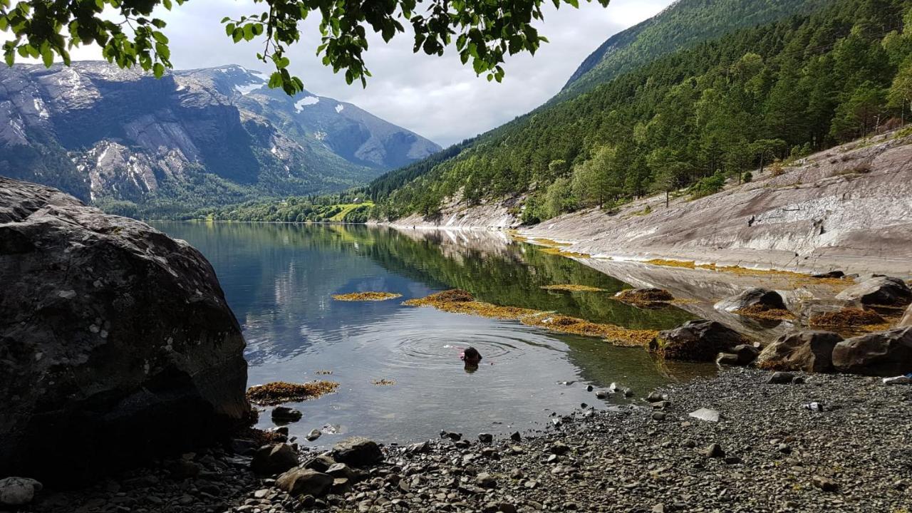 Between Fjord Og Glacier Alfoten Exterior photo